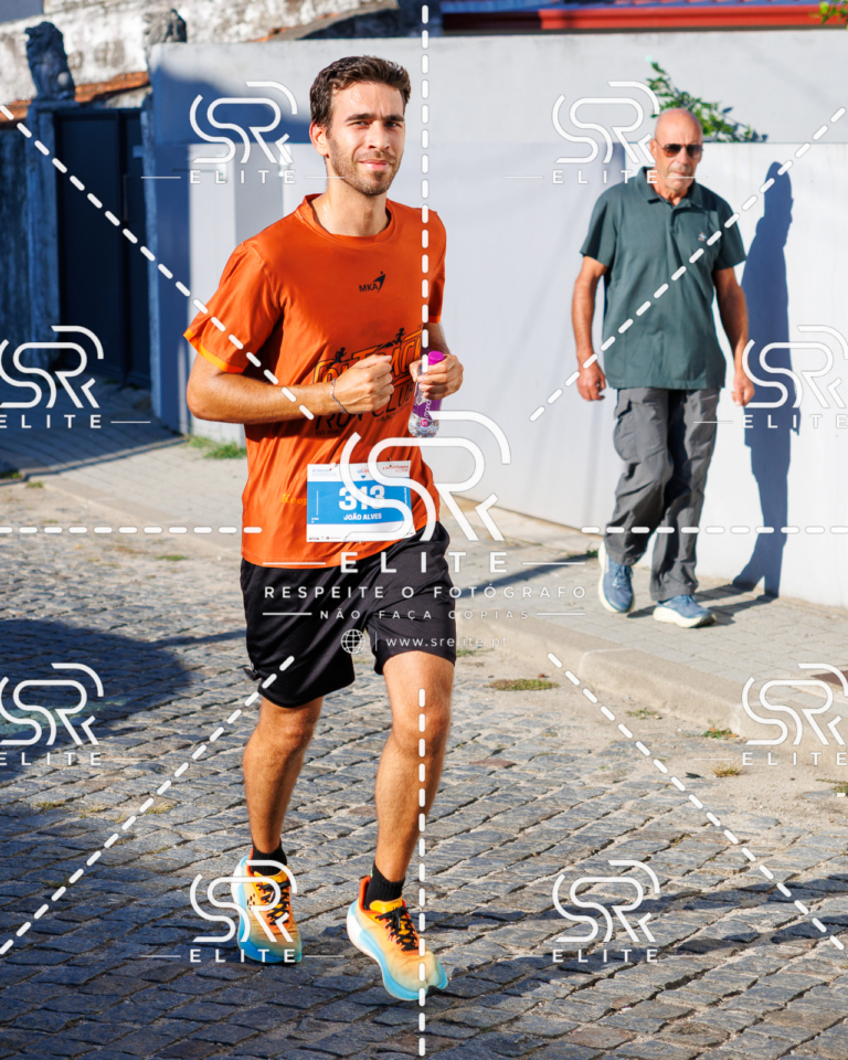 Preview com marca de água da fotografia galos-500
