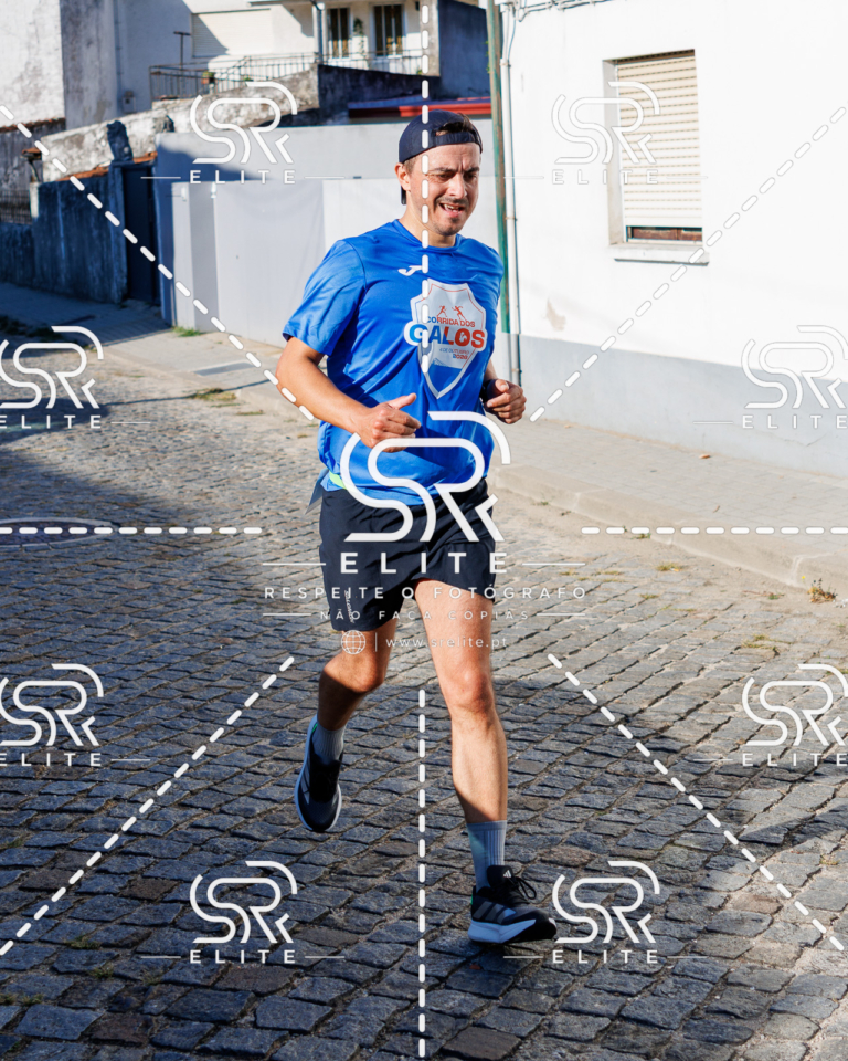 Preview com marca de água da fotografia galos-501