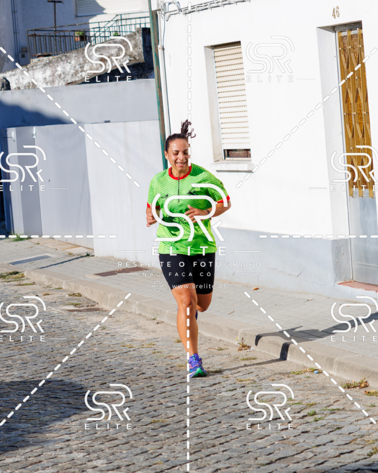 Preview com marca de água da fotografia galos-502