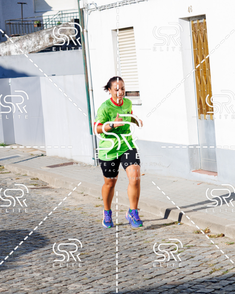Preview com marca de água da fotografia galos-503