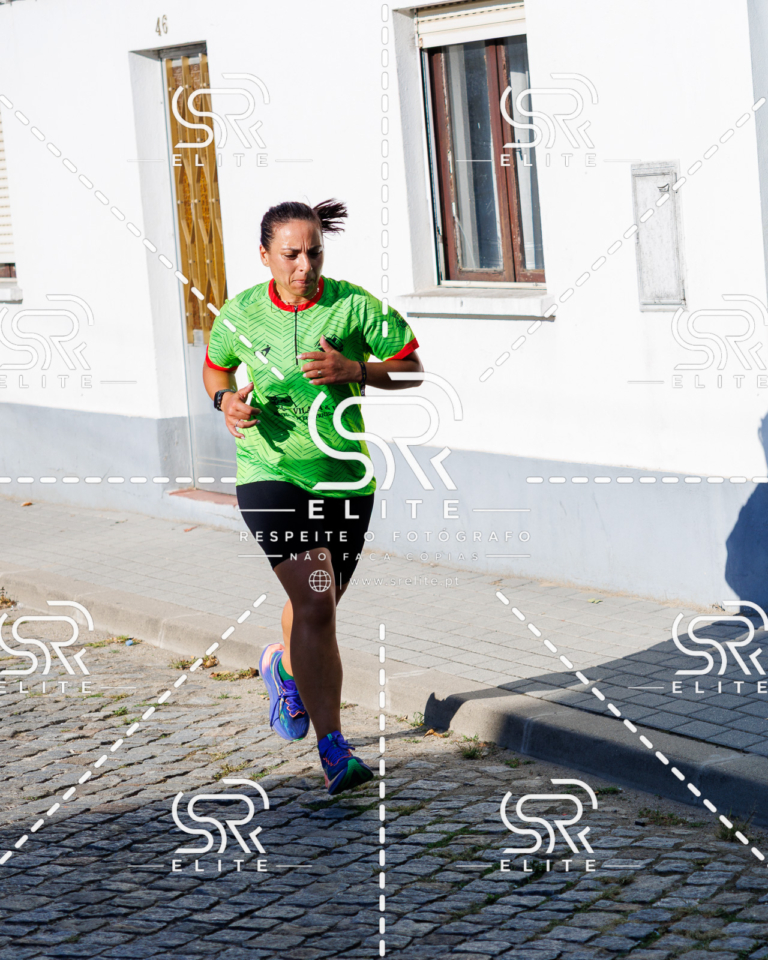 Preview com marca de água da fotografia galos-504