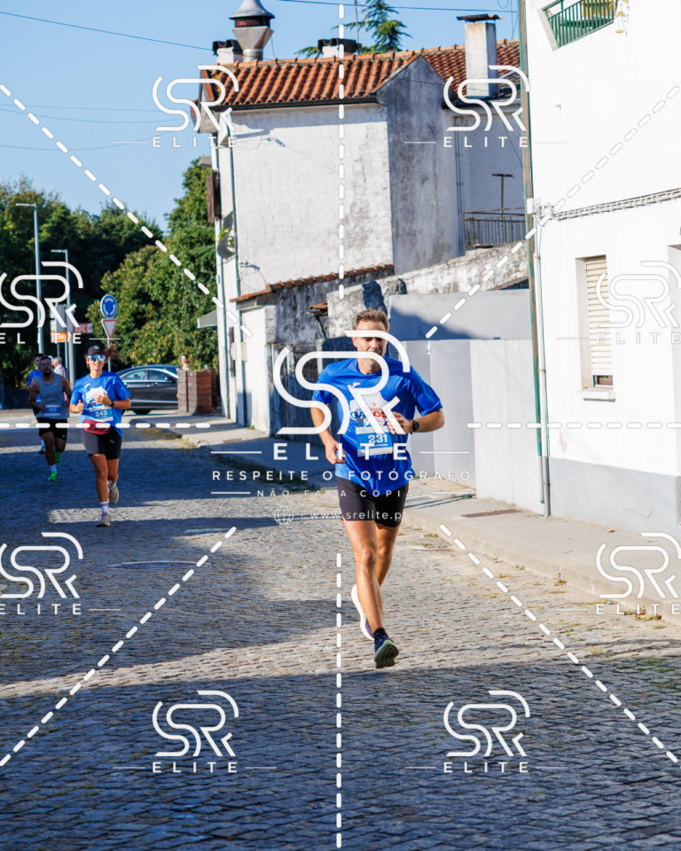 Preview com marca de água da fotografia galos-506