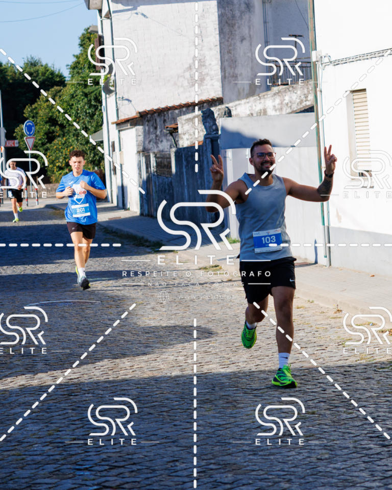 Preview com marca de água da fotografia galos-509