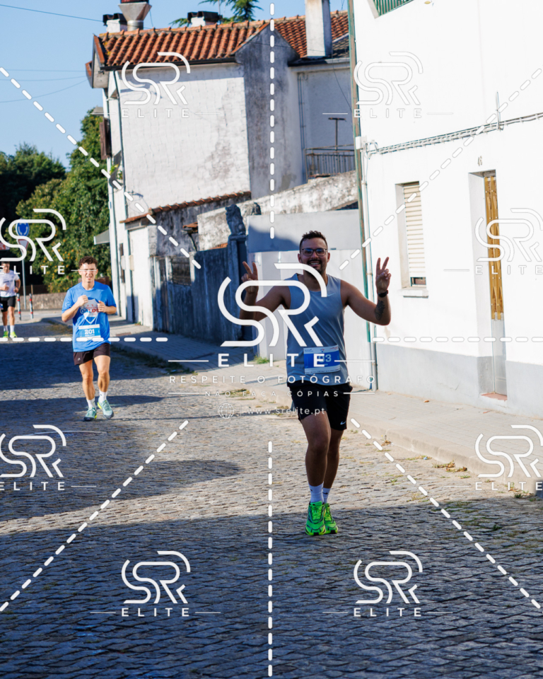 Preview com marca de água da fotografia galos-510