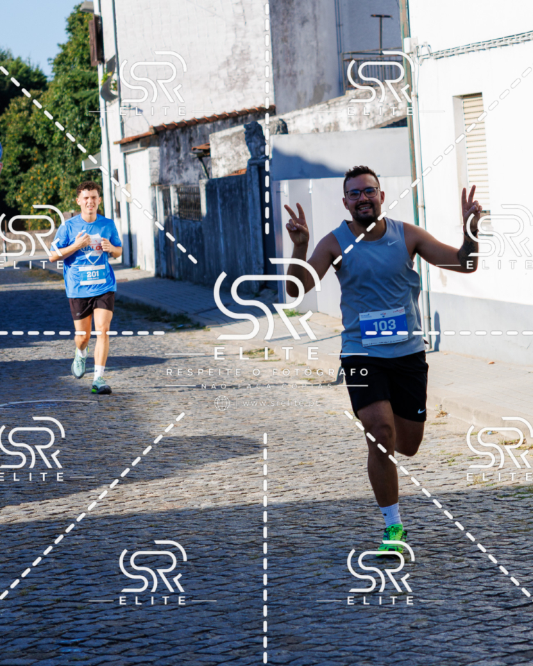 Preview com marca de água da fotografia galos-511