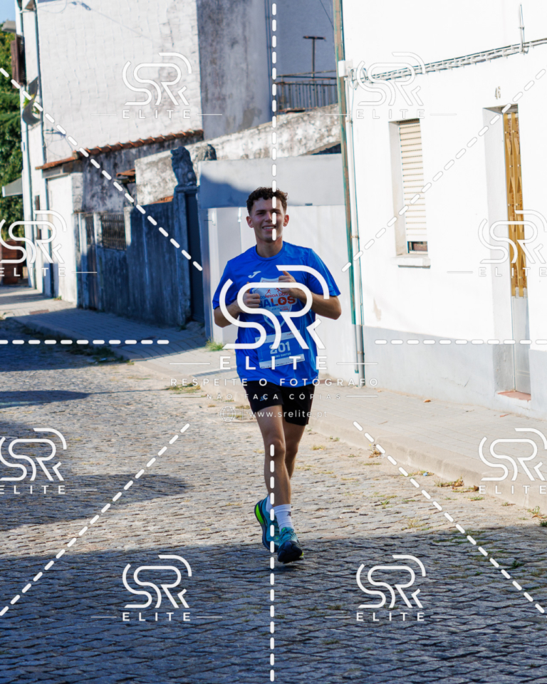 Preview com marca de água da fotografia galos-512
