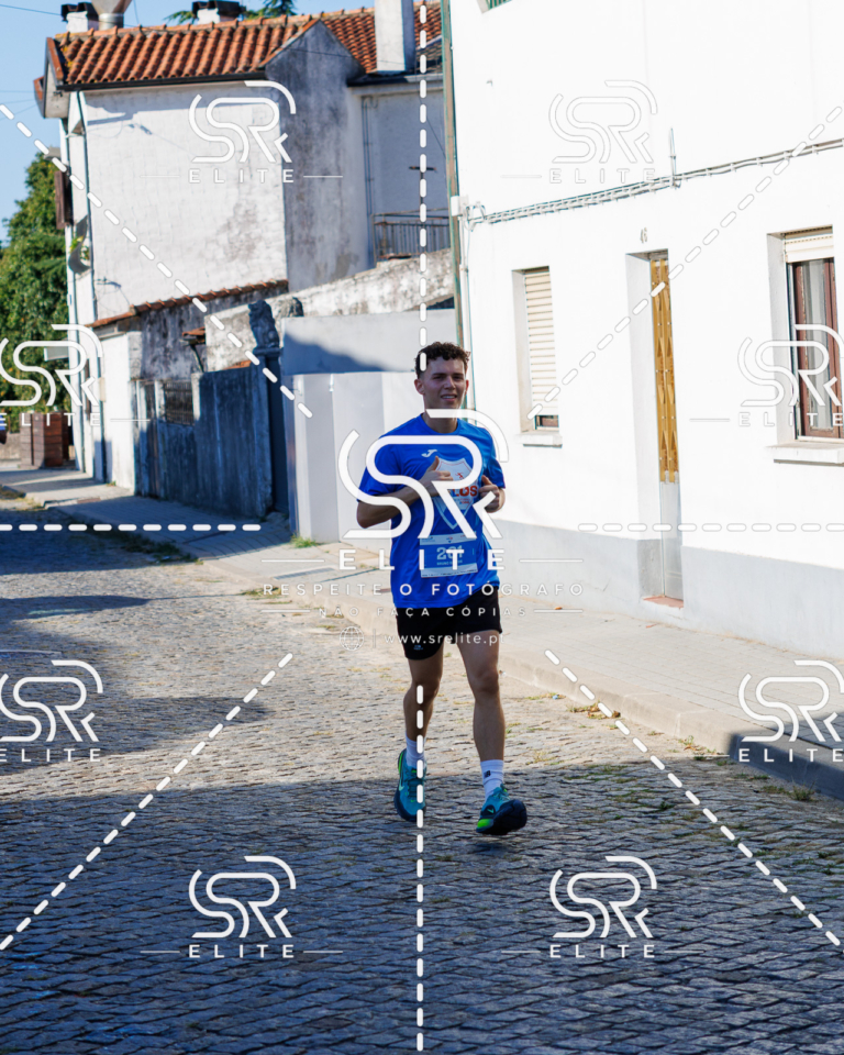 Preview com marca de água da fotografia galos-513