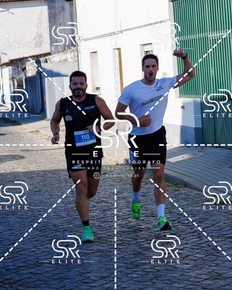 Preview com marca de água da fotografia galos-514
