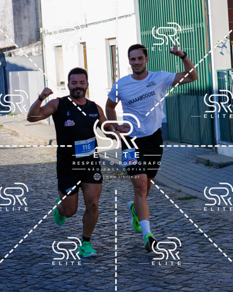Preview com marca de água da fotografia galos-515