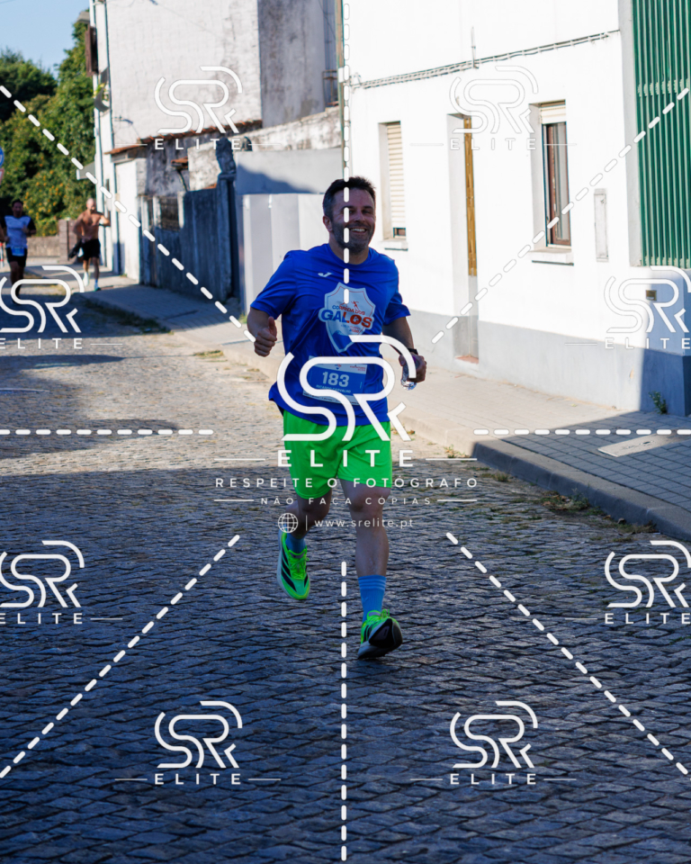 Preview com marca de água da fotografia galos-519