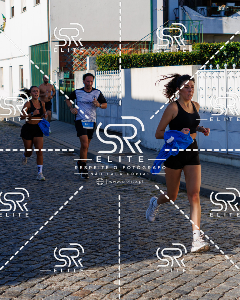 Preview com marca de água da fotografia galos-520