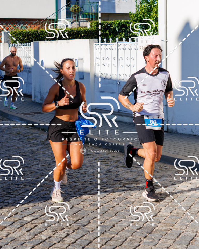Preview com marca de água da fotografia galos-522