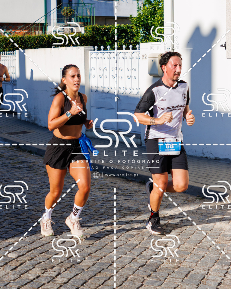 Preview com marca de água da fotografia galos-523