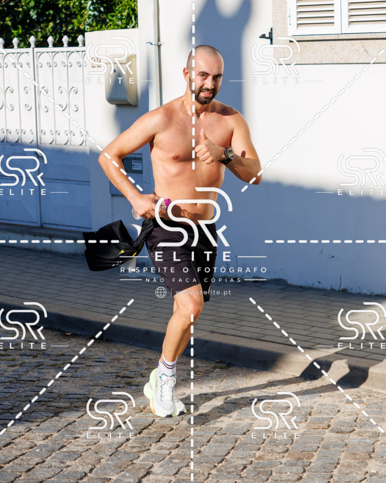 Preview com marca de água da fotografia galos-524