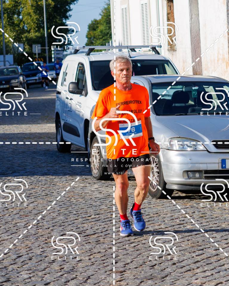 Preview com marca de água da fotografia galos-531