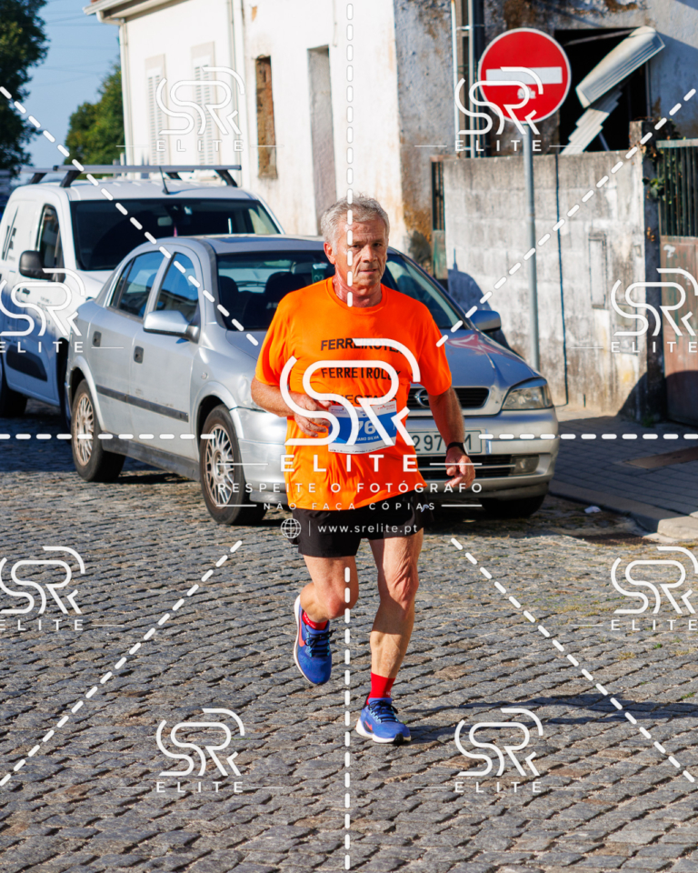 Preview com marca de água da fotografia galos-532