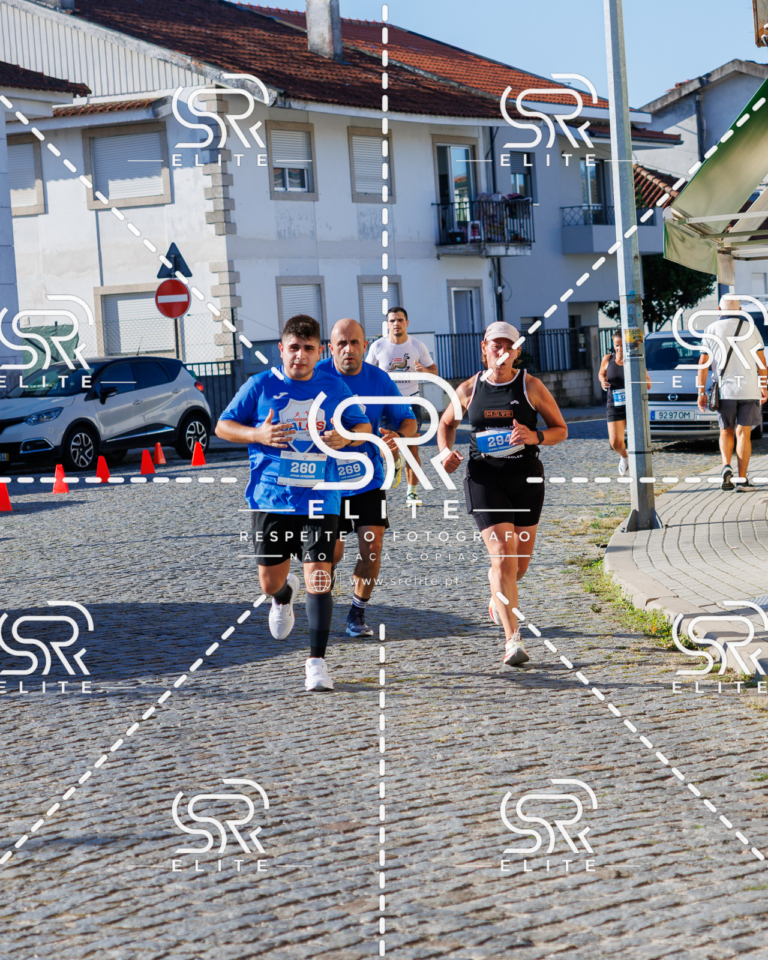 Preview com marca de água da fotografia galos-534