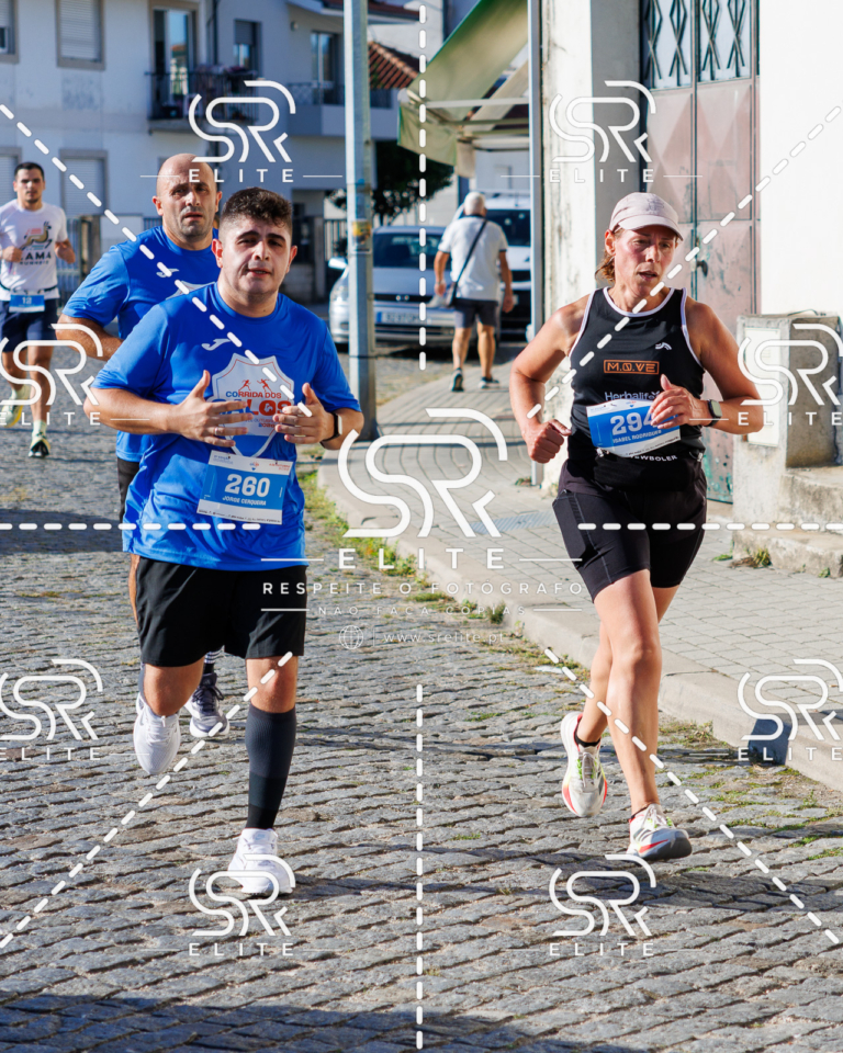 Preview com marca de água da fotografia galos-535
