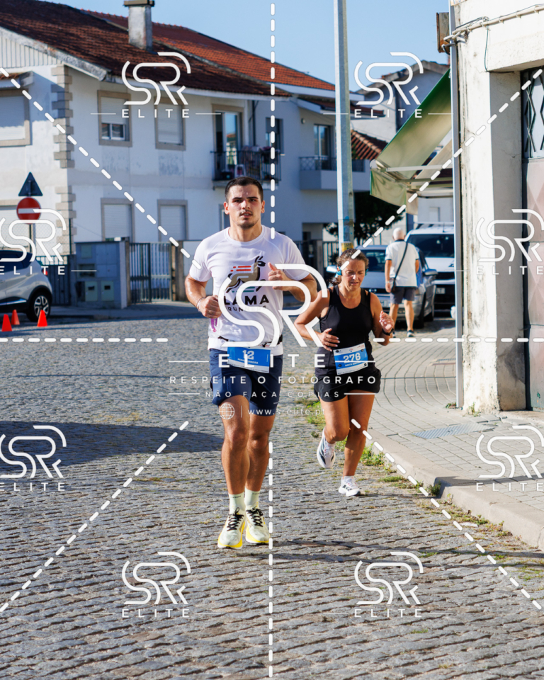 Preview com marca de água da fotografia galos-536