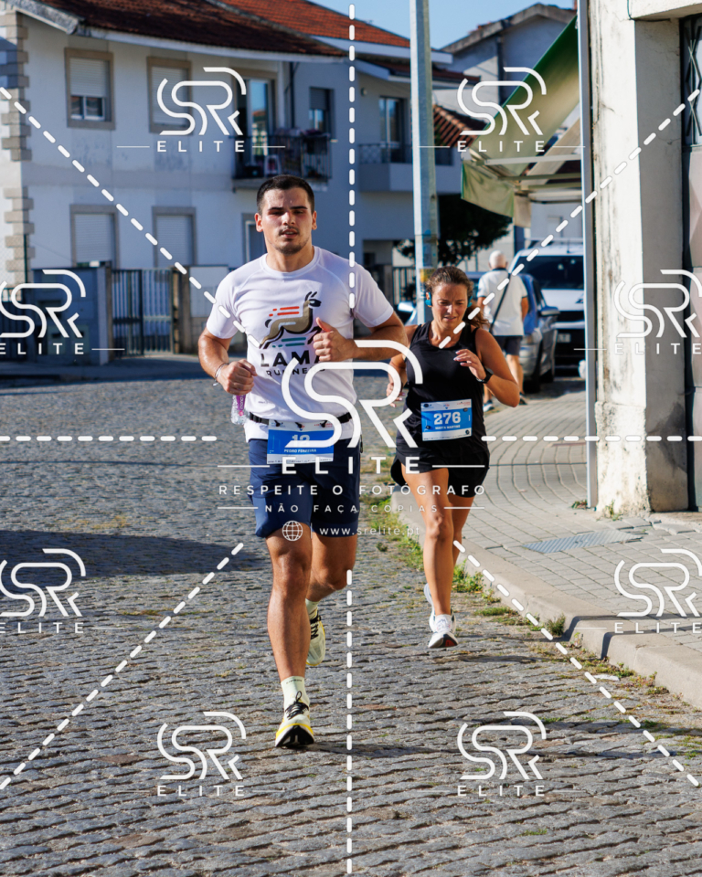 Preview com marca de água da fotografia galos-537