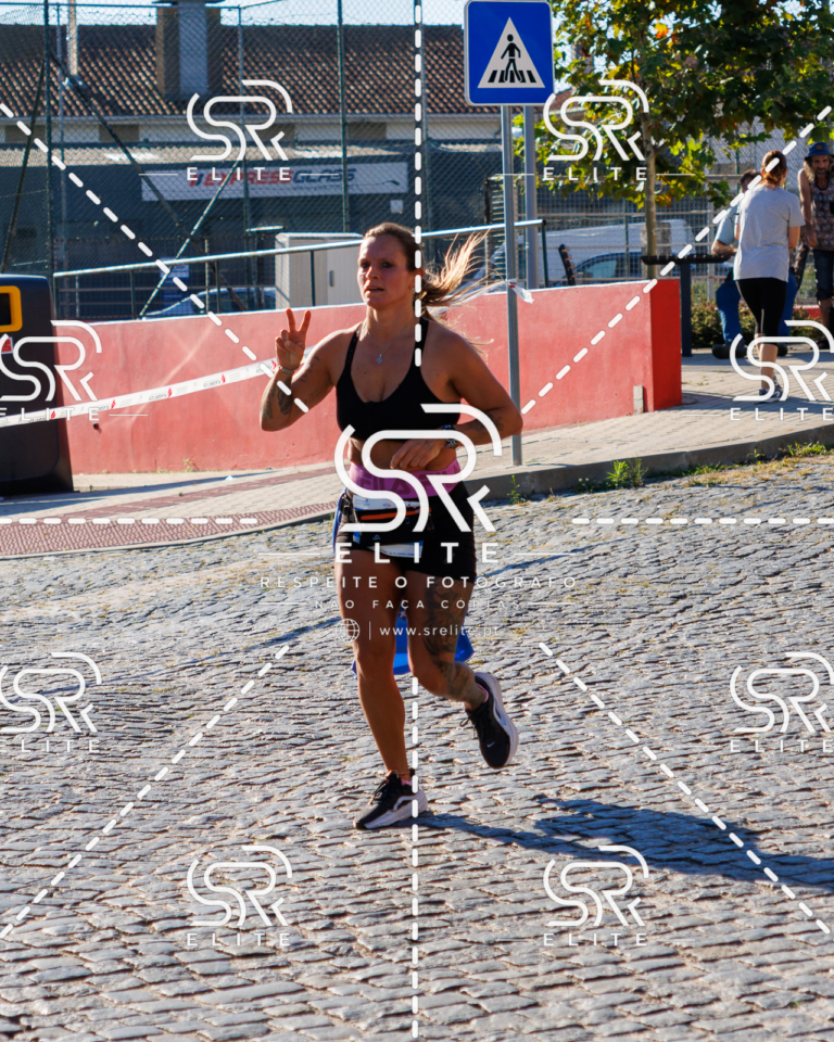 Preview com marca de água da fotografia galos-544