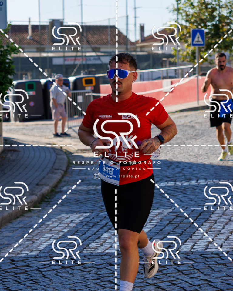 Preview com marca de água da fotografia galos-549