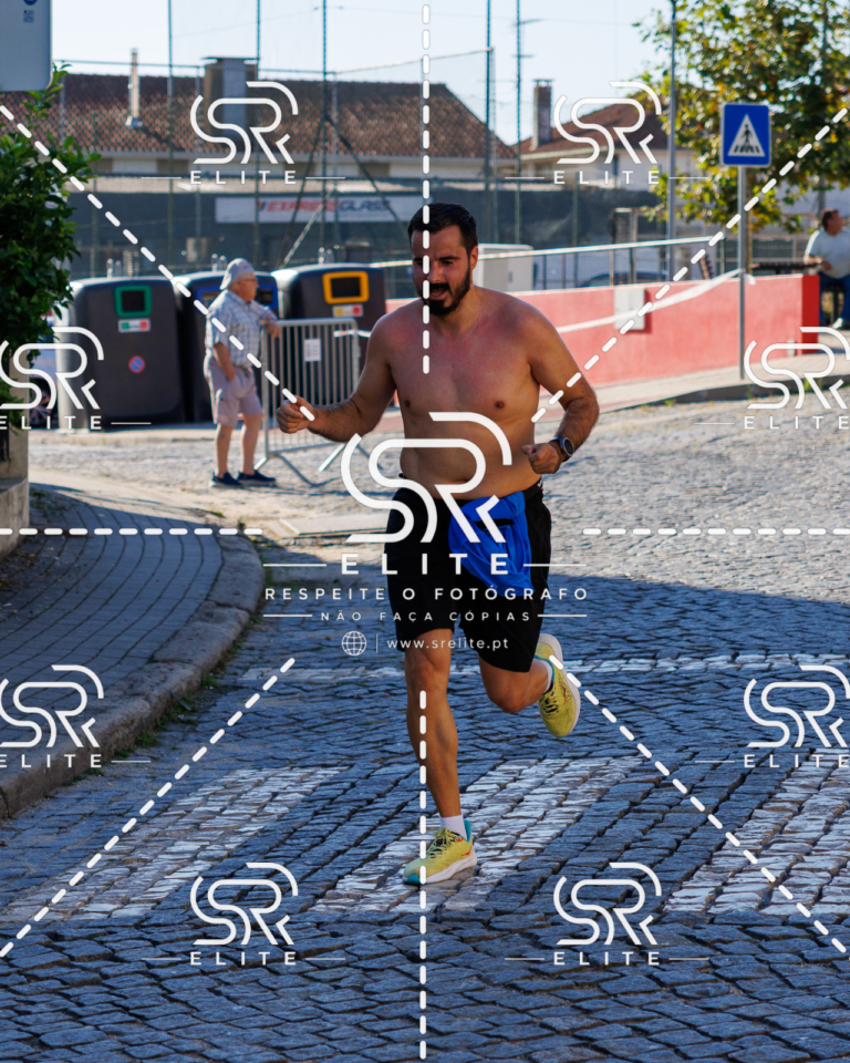Preview com marca de água da fotografia galos-550