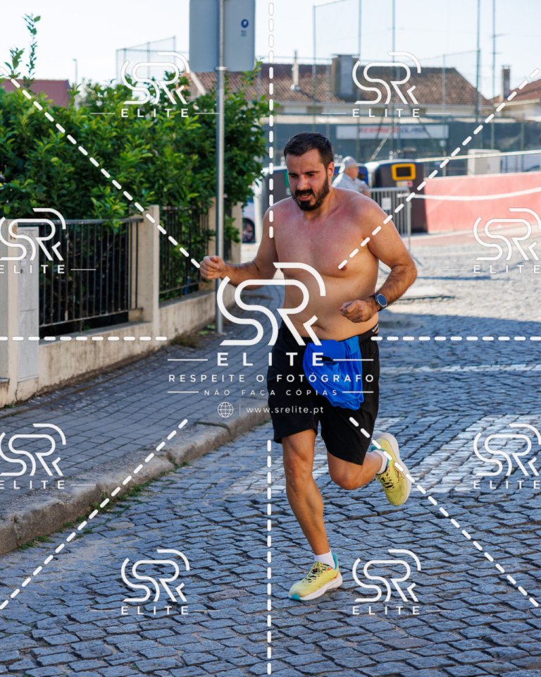 Preview com marca de água da fotografia galos-551