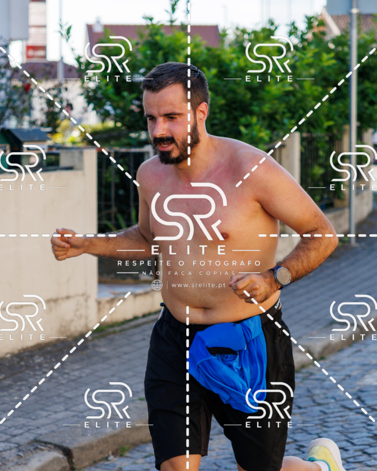 Preview com marca de água da fotografia galos-552