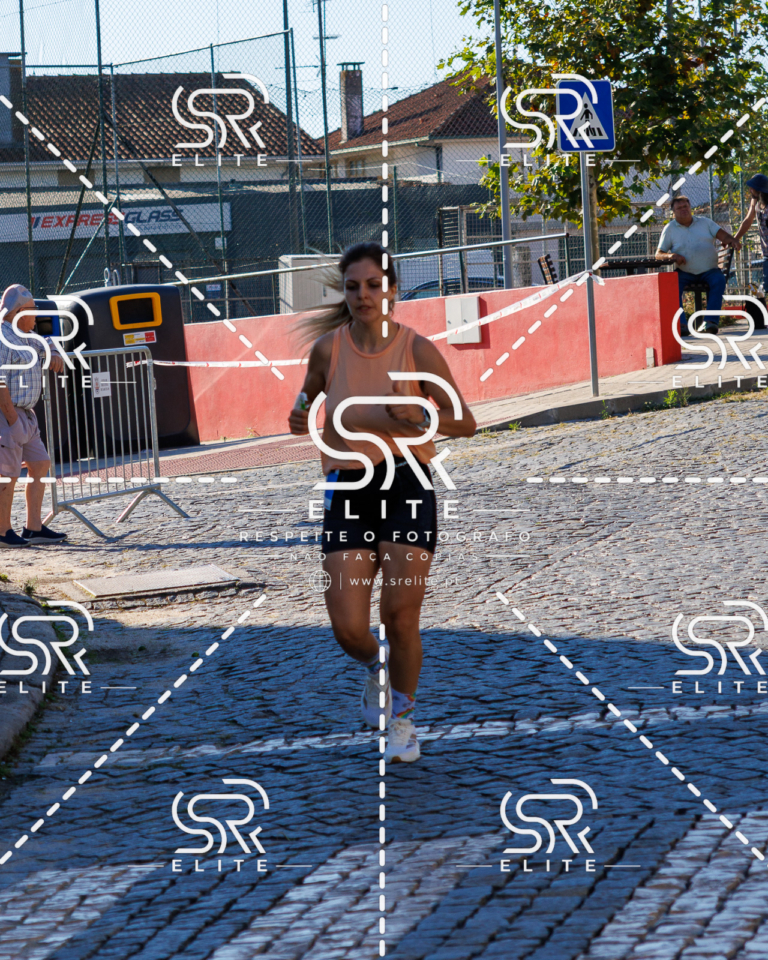 Preview com marca de água da fotografia galos-553