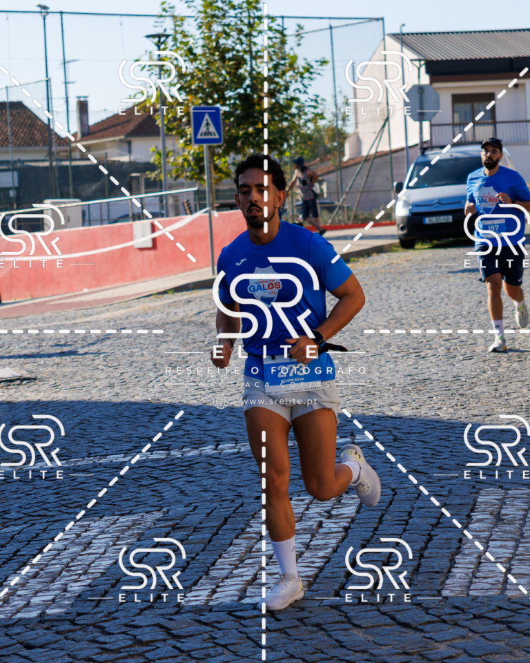 Preview com marca de água da fotografia galos-554