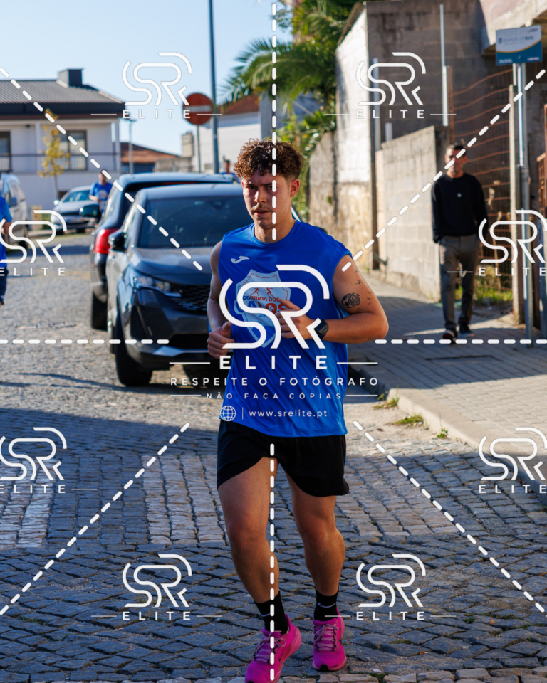 Preview com marca de água da fotografia galos-555