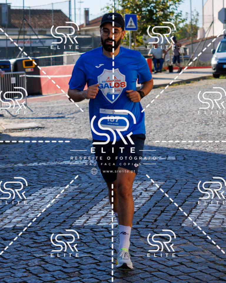 Preview com marca de água da fotografia galos-557