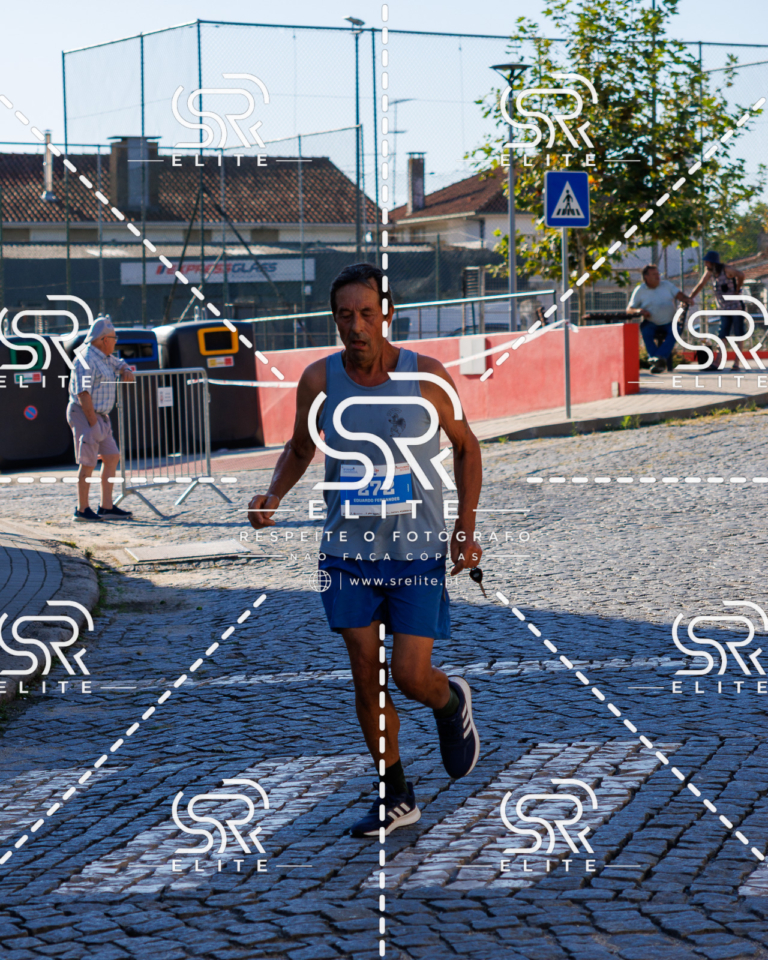 Preview com marca de água da fotografia galos-560