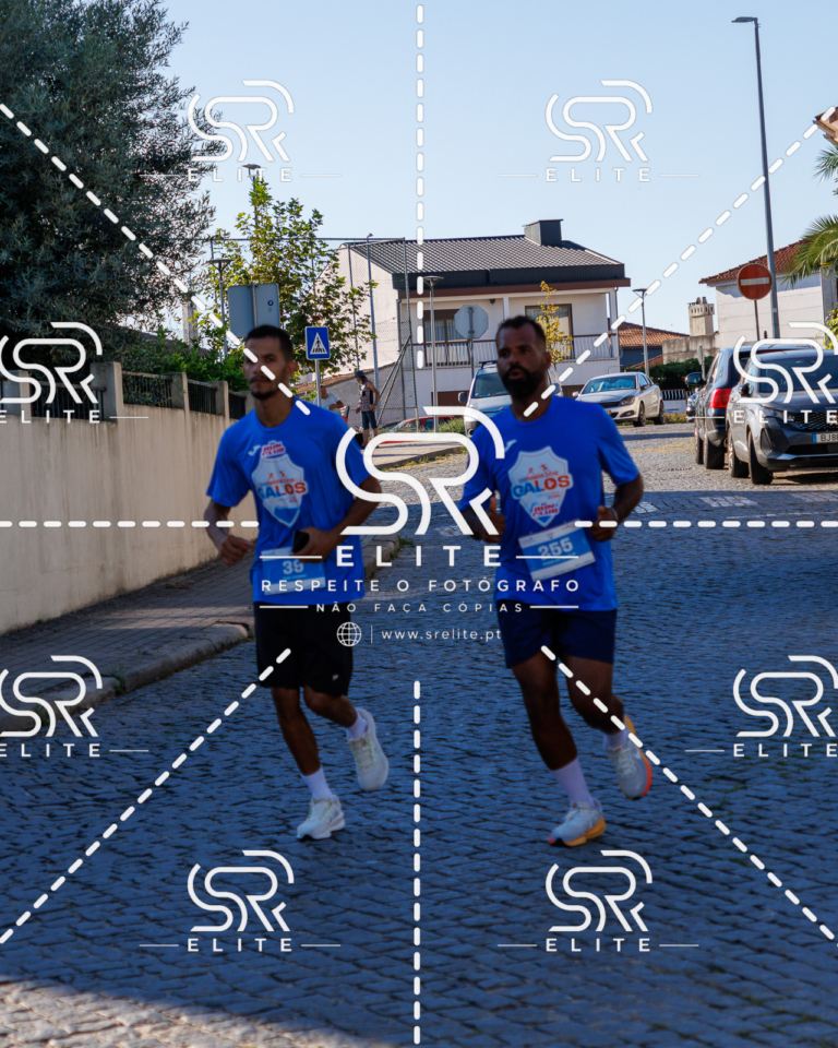 Preview com marca de água da fotografia galos-574