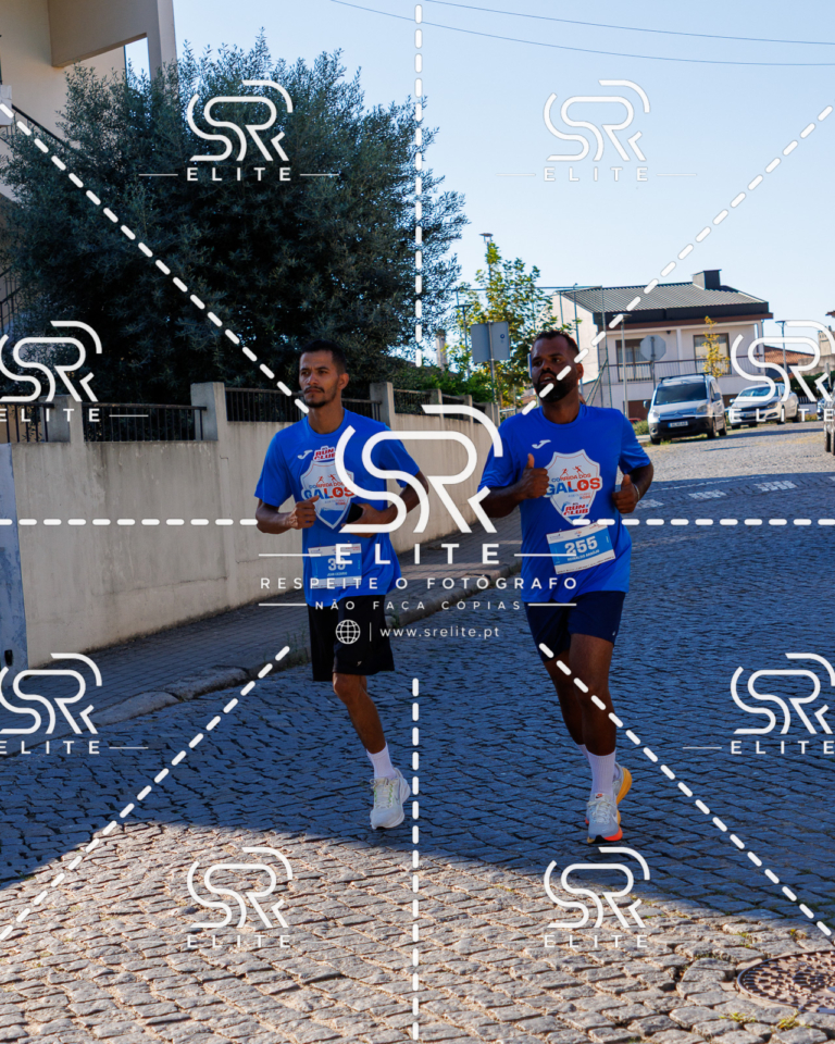 Preview com marca de água da fotografia galos-575