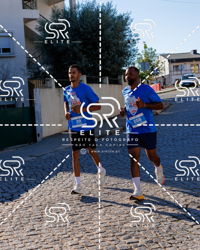 Preview com marca de água da fotografia galos-576