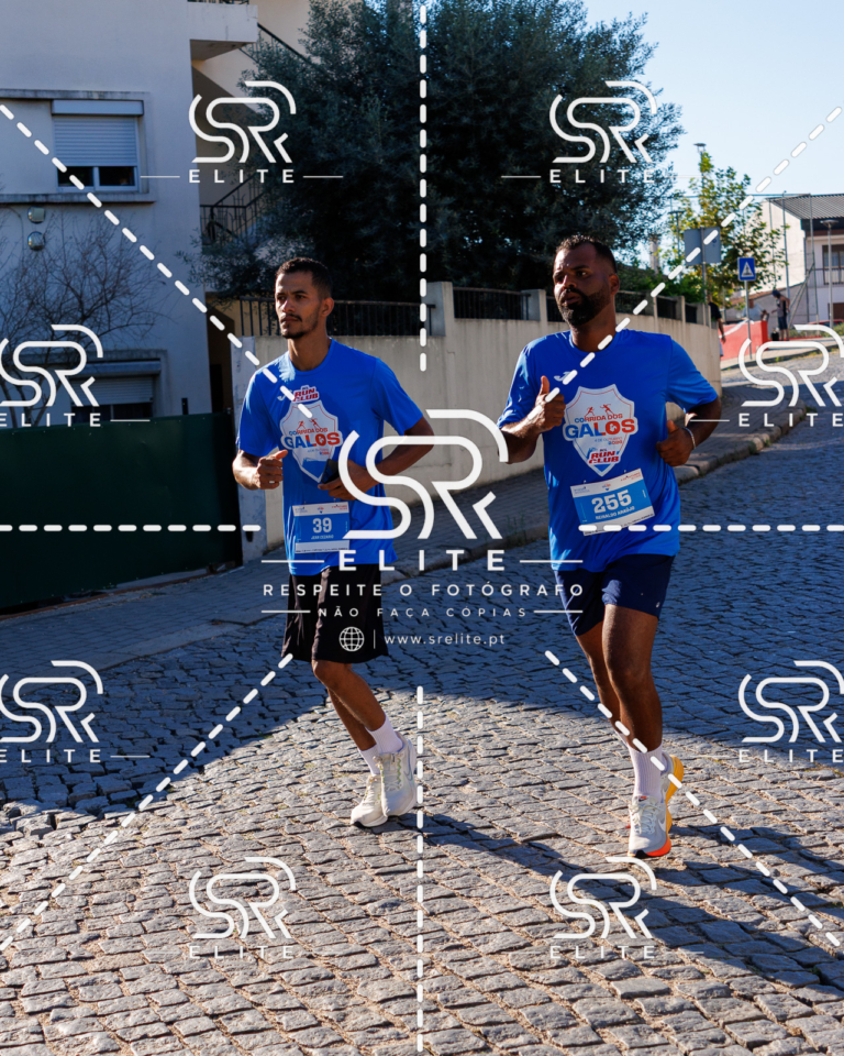 Preview com marca de água da fotografia galos-577