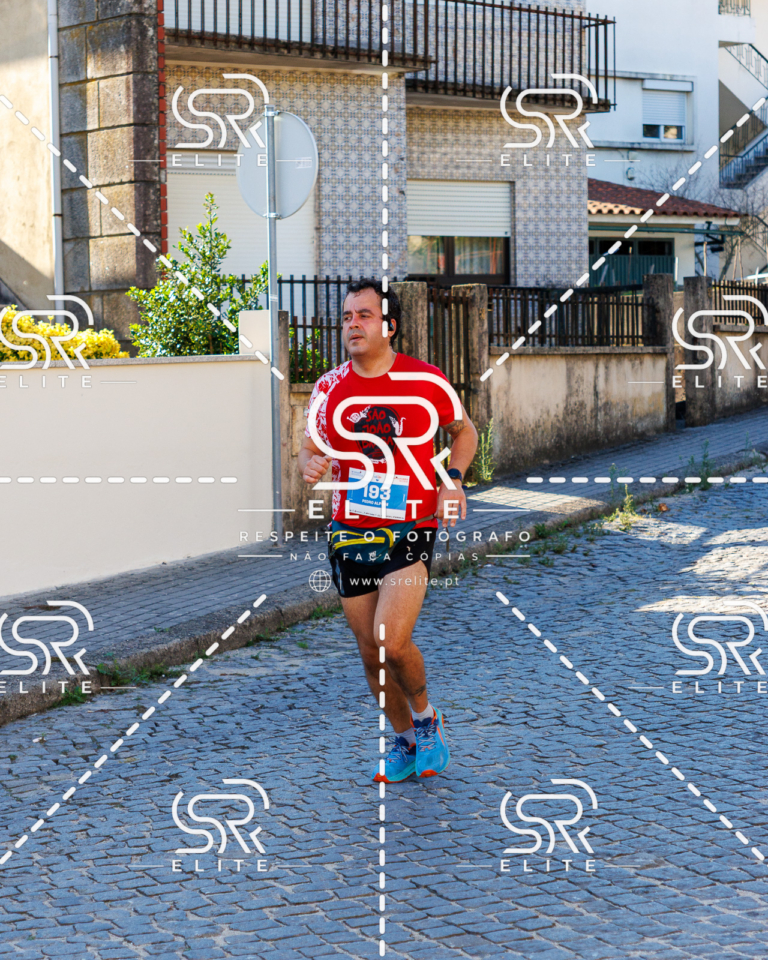 Preview com marca de água da fotografia galos-579