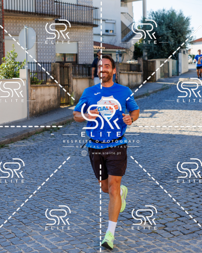 Preview com marca de água da fotografia galos-585