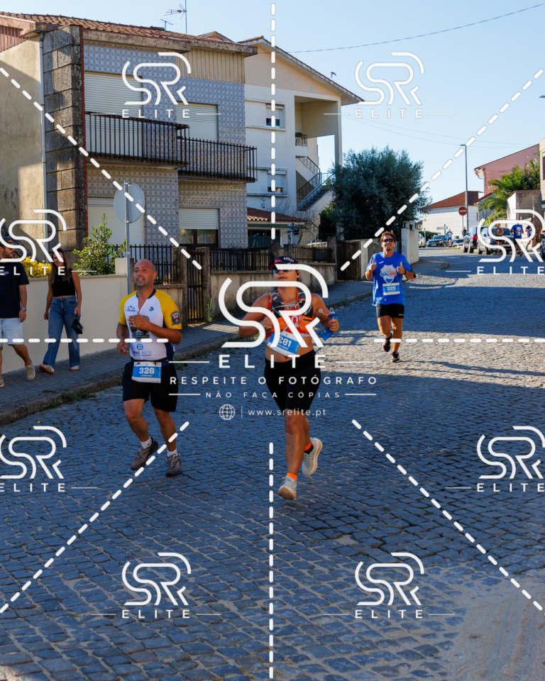 Preview com marca de água da fotografia galos-591