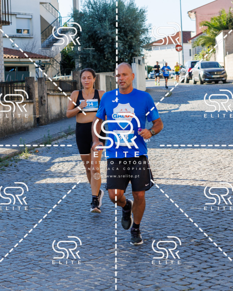 Preview com marca de água da fotografia galos-594