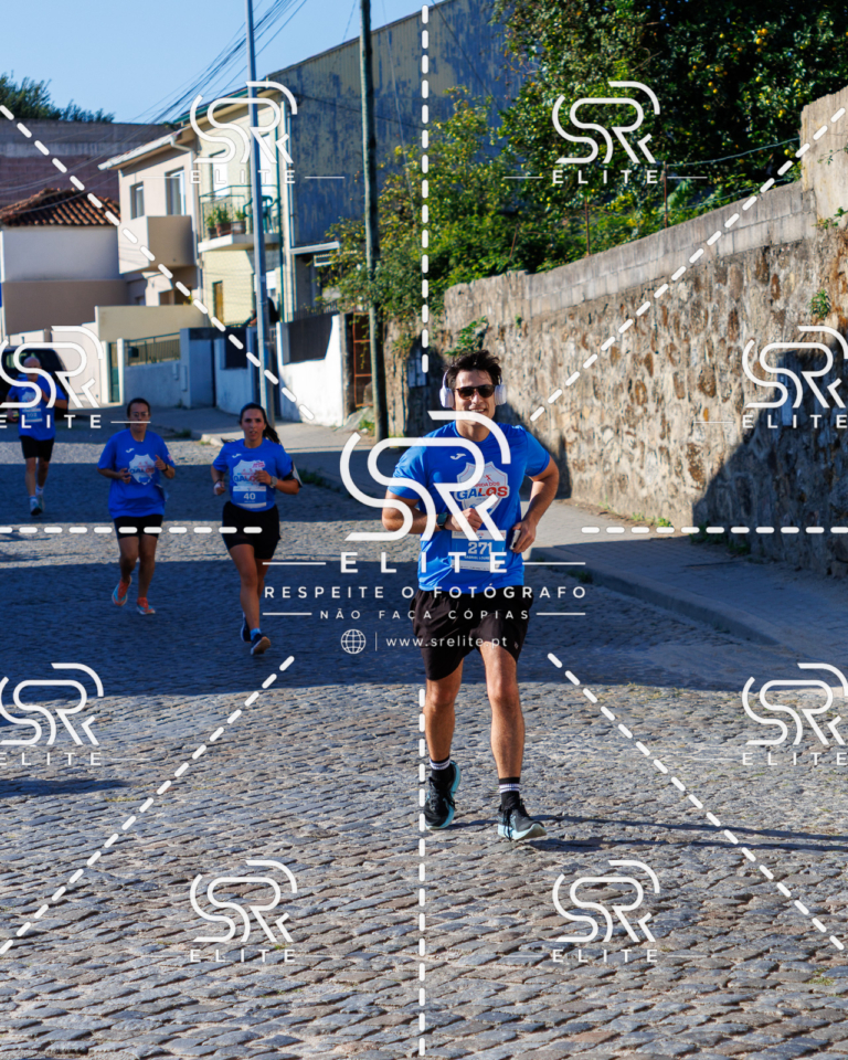 Preview com marca de água da fotografia galos-601