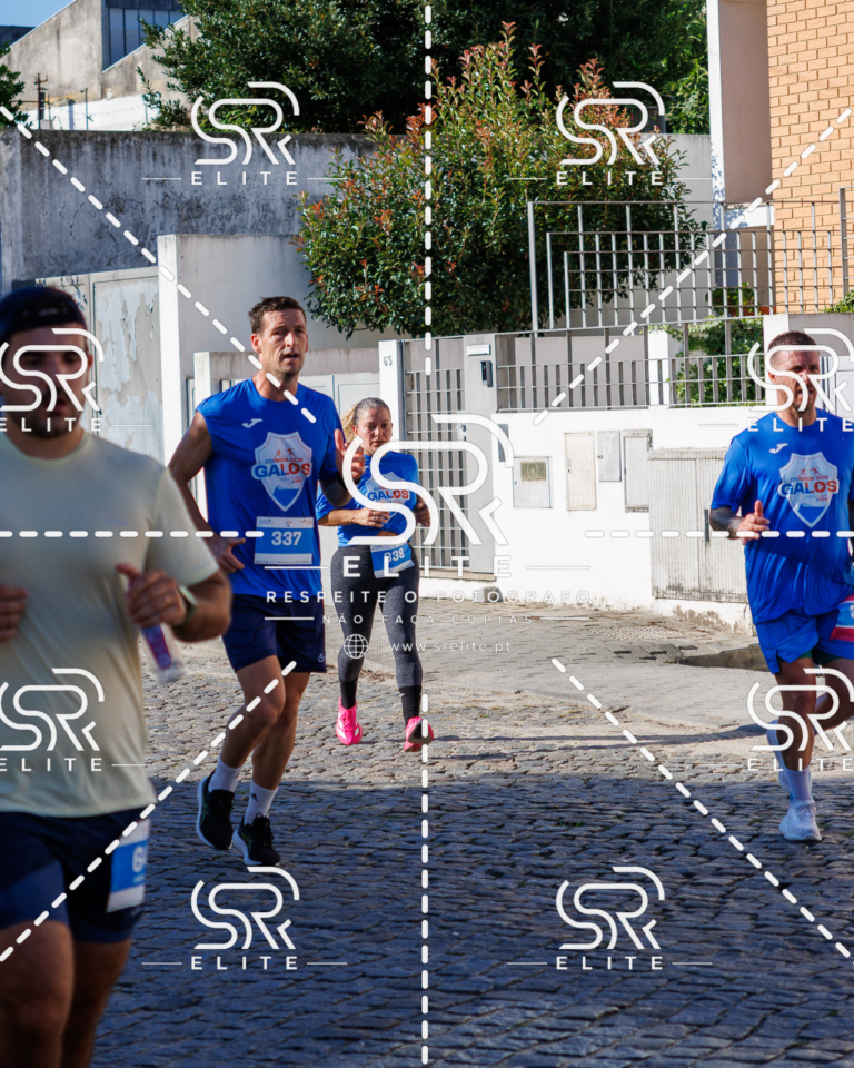 Preview com marca de água da fotografia galos-613