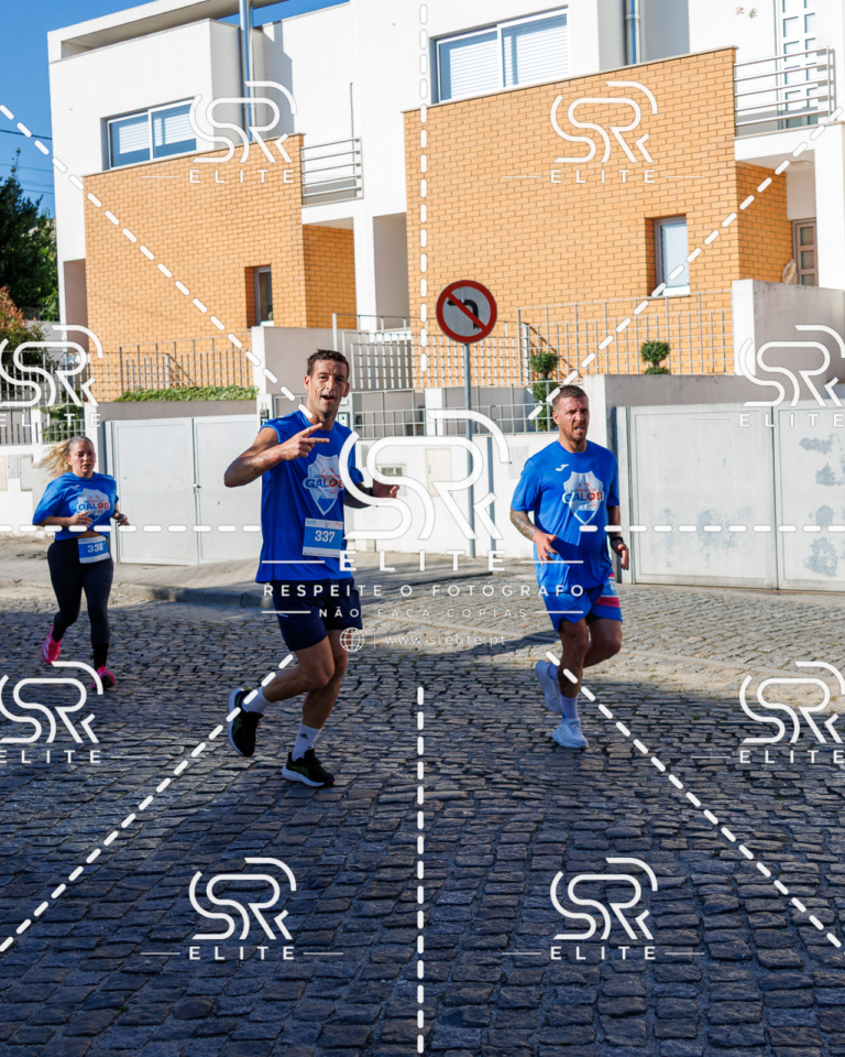 Preview com marca de água da fotografia galos-614