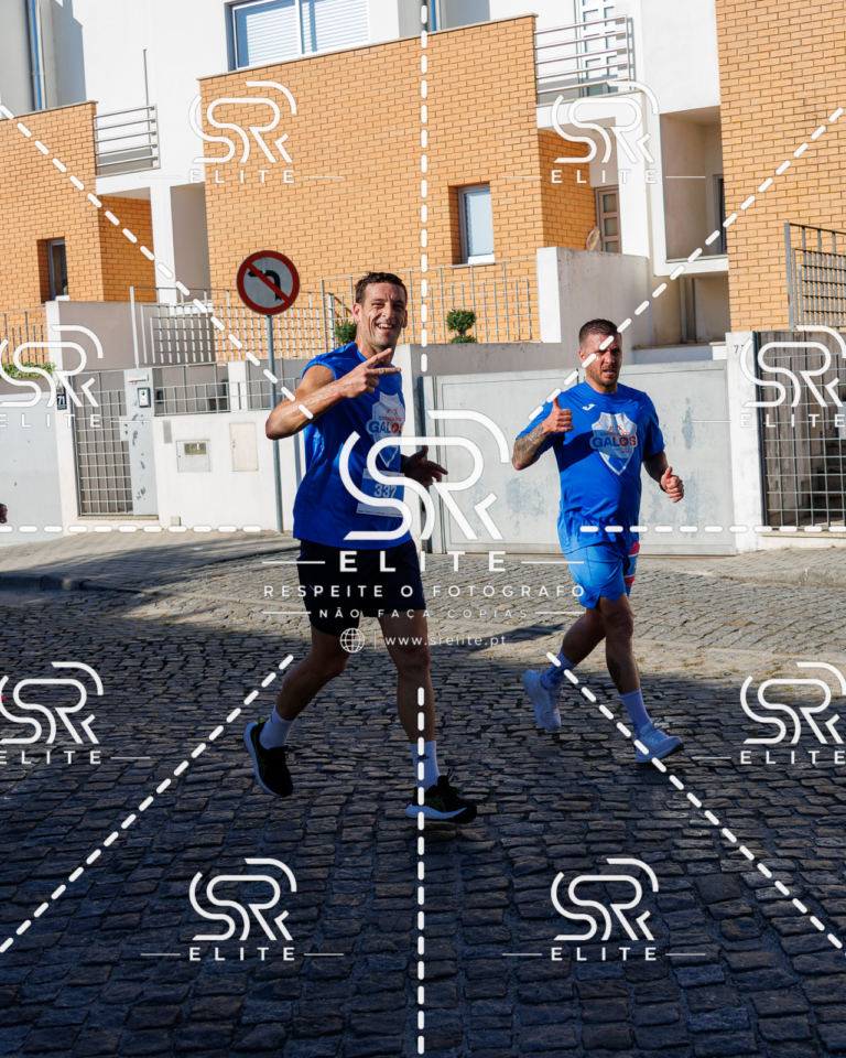Preview com marca de água da fotografia galos-616