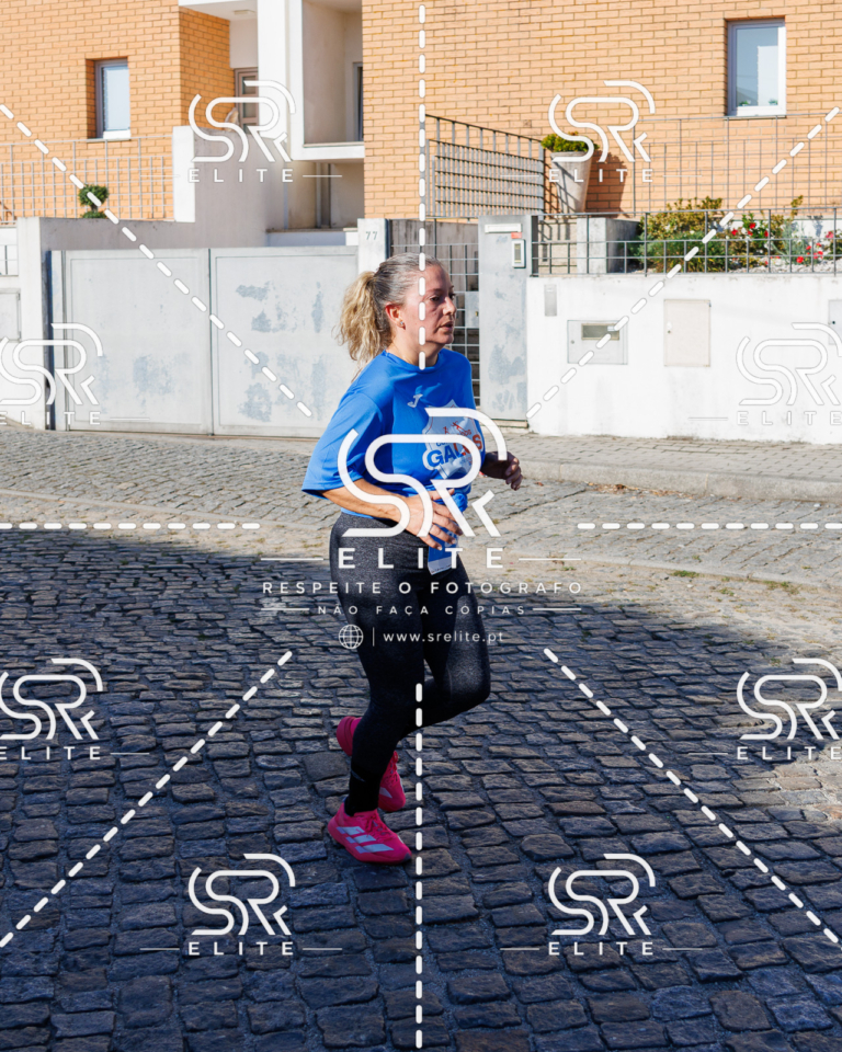 Preview com marca de água da fotografia galos-618