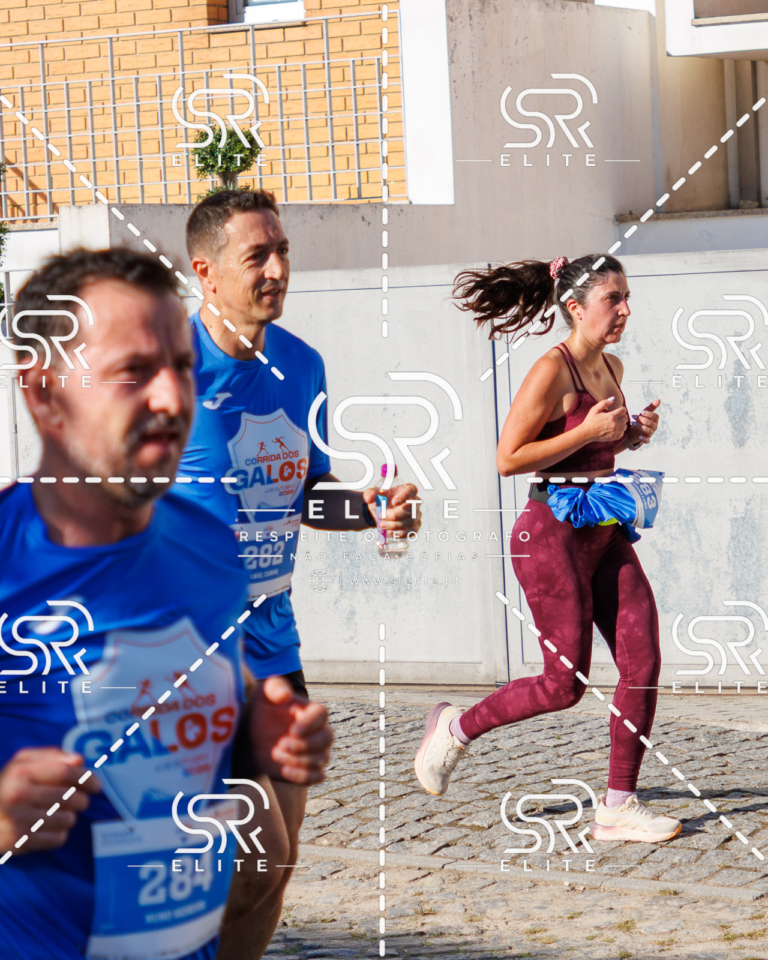Preview com marca de água da fotografia galos-620