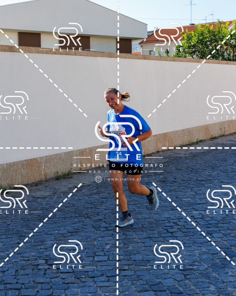 Preview com marca de água da fotografia galos-621