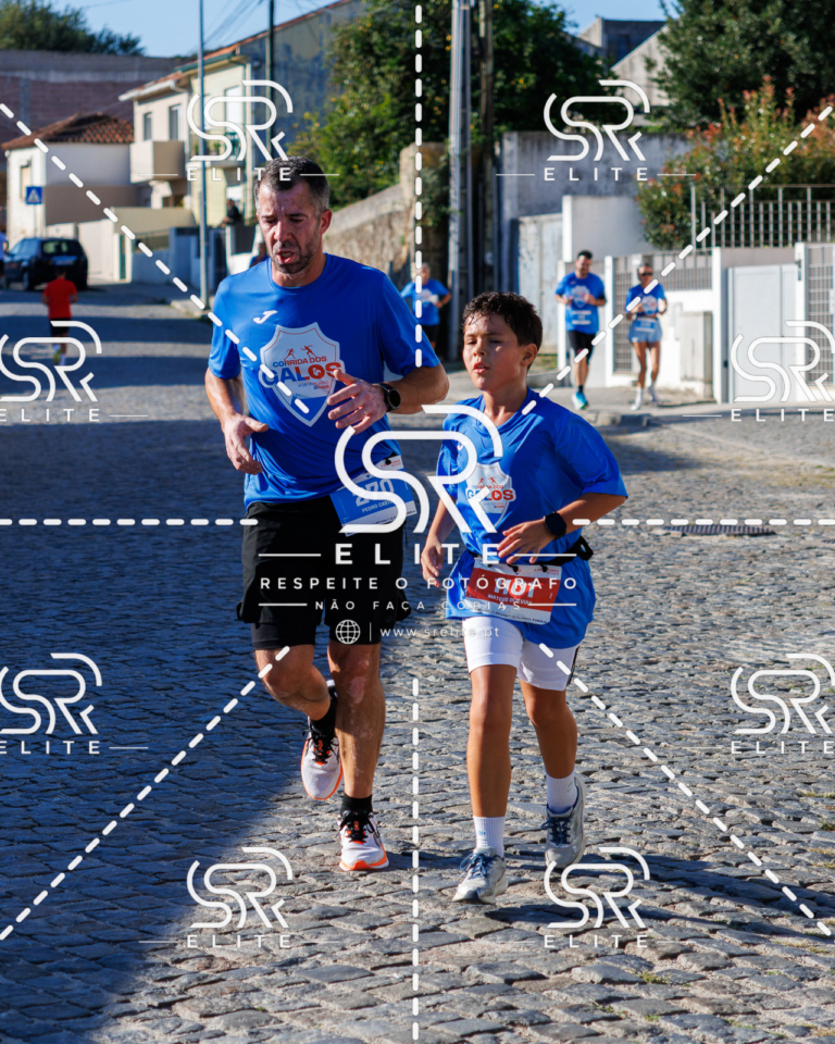 Preview com marca de água da fotografia galos-629